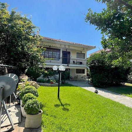 阿约伊阿波斯托洛伊Evian House别墅 外观 照片